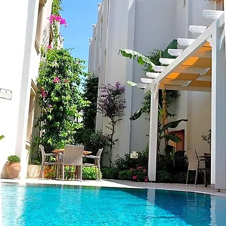 Hotel Olivias Group